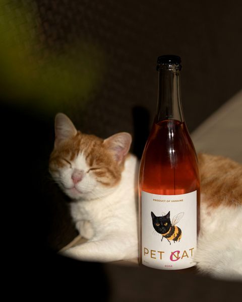 Pet-Cat Rose low-alcohol drink of natural fermentation of linden honey and juice of apples, blackberries, currants Alk. 8% Volume 0,750L